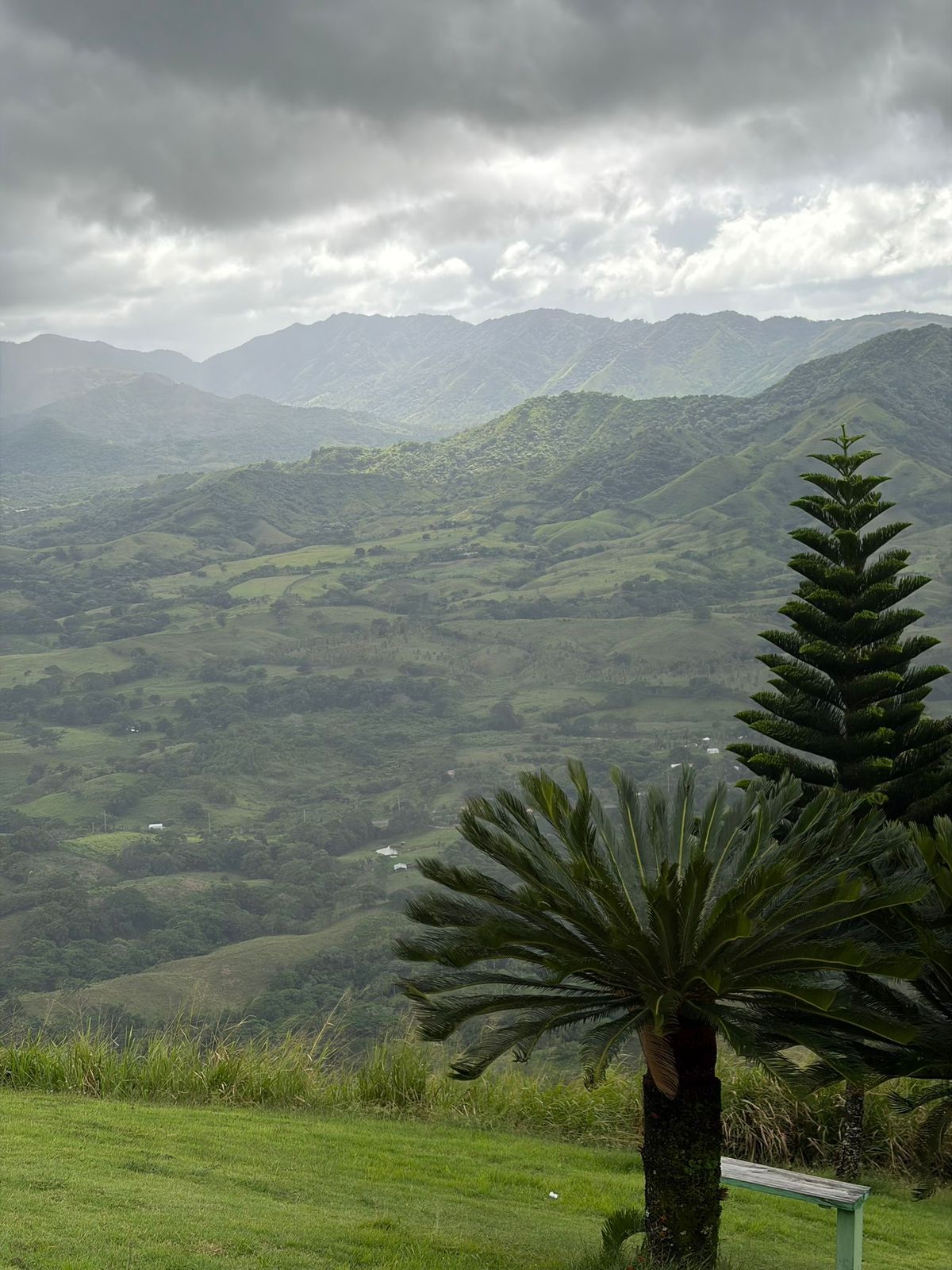 Your Trusted Local Expert in Miches